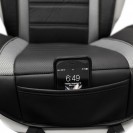 Ford Fusion 2017 NeoBlend Leatherette Seat Cushions front Set